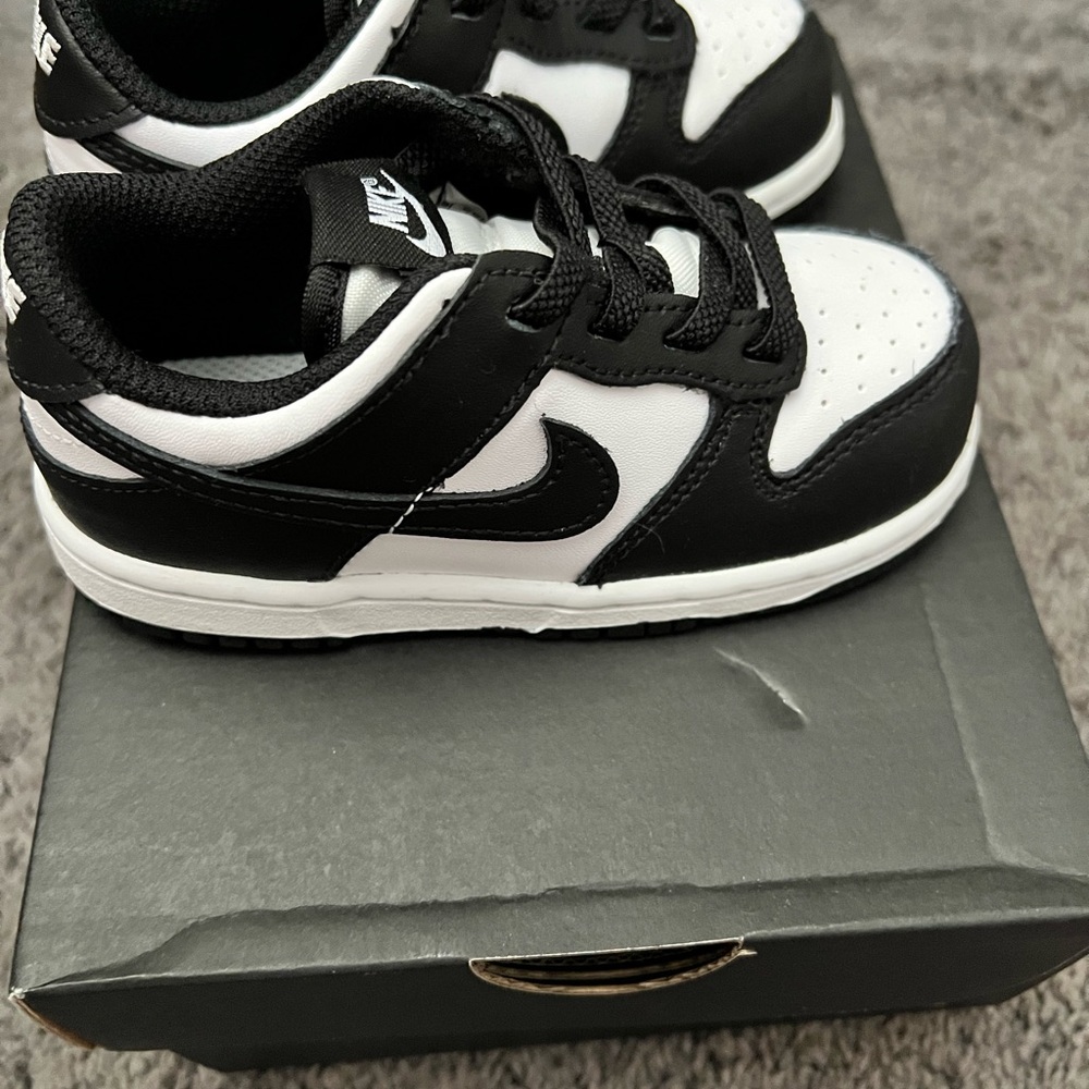 Toddler Nike Dunks